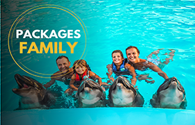 Family Packages